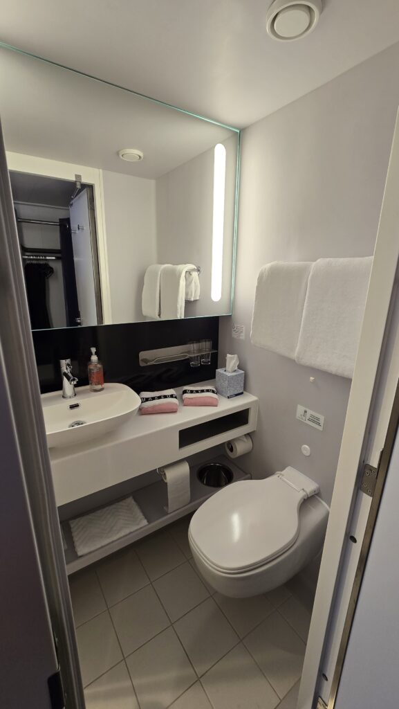 Virgin Voyages Scarlet Lady Cruise Ship Sea Terrace Room bathroom